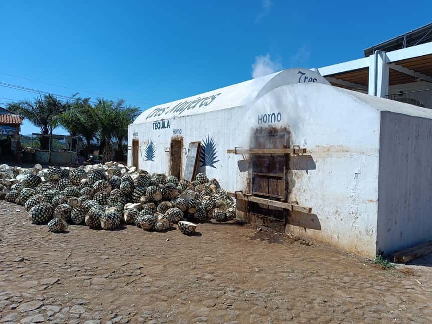 Destino Tequila: Experiencia Premier Privada - Why this private Jalisco day works