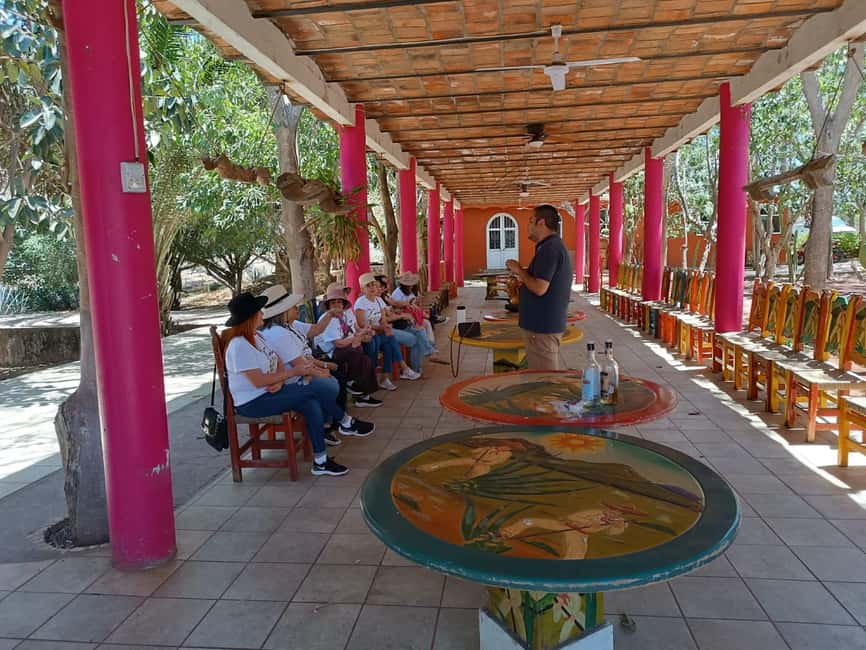 Destino Tequila: Experiencia Premier Privada - Two free hours in Tequila town
