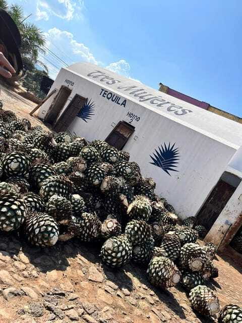 Destino Tequila: Experiencia Premier Privada - Is $116 a good value?