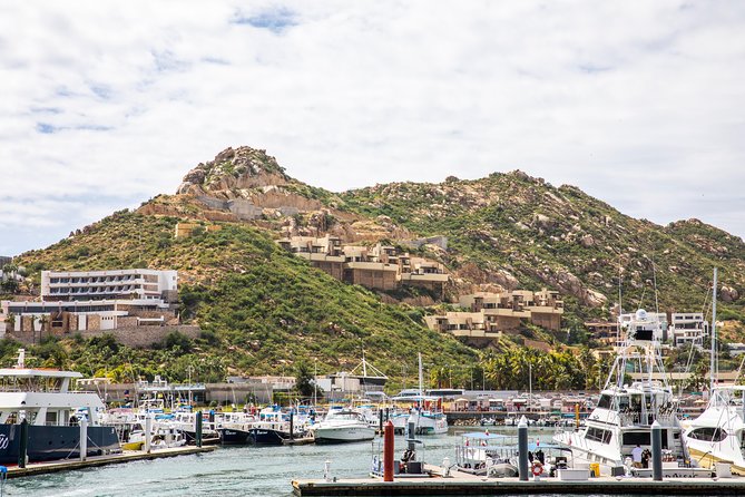 Dinner Cruise Tour in Cabo San Lucas with Tequila Tasting - Barbecue dinner, open bar, and the party atmosphere