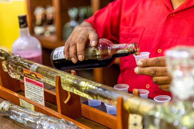 Dinner Cruise Tour in Cabo San Lucas with Tequila Tasting - Who should book this experience?