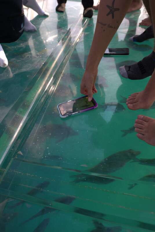 Discover Cabo San Lucas Clear Boat Glass Factory & Tequila - From your hotel to Cabo’s waterfront