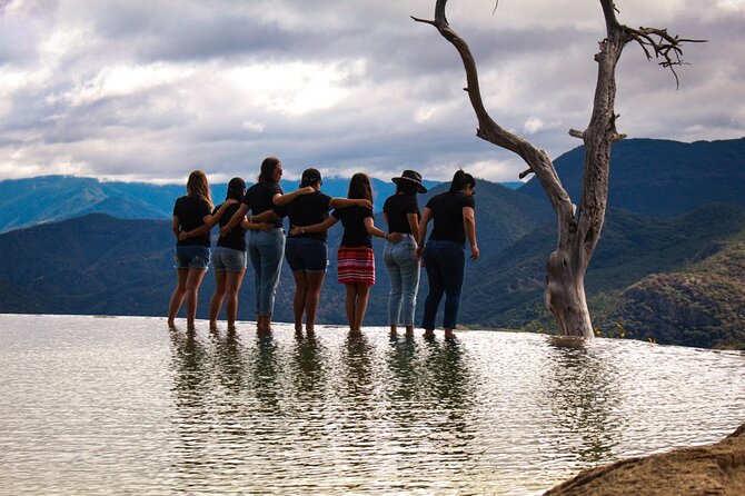 Explore Hierve el Agua, Mitla, Tule, Textile and Mezcal for a day - Start with the Tule Tree in Santa María del Tule