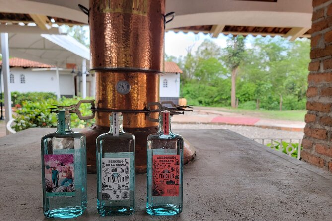 Finca 18 Puerto Vallarta Tequila Tour + Chocolate Pairing - Walking from agave plant to bottle