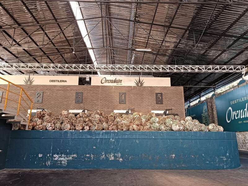 Five-star factory: Meet Orendain tequila. - Starting at C. Juárez 21 in central Tequila