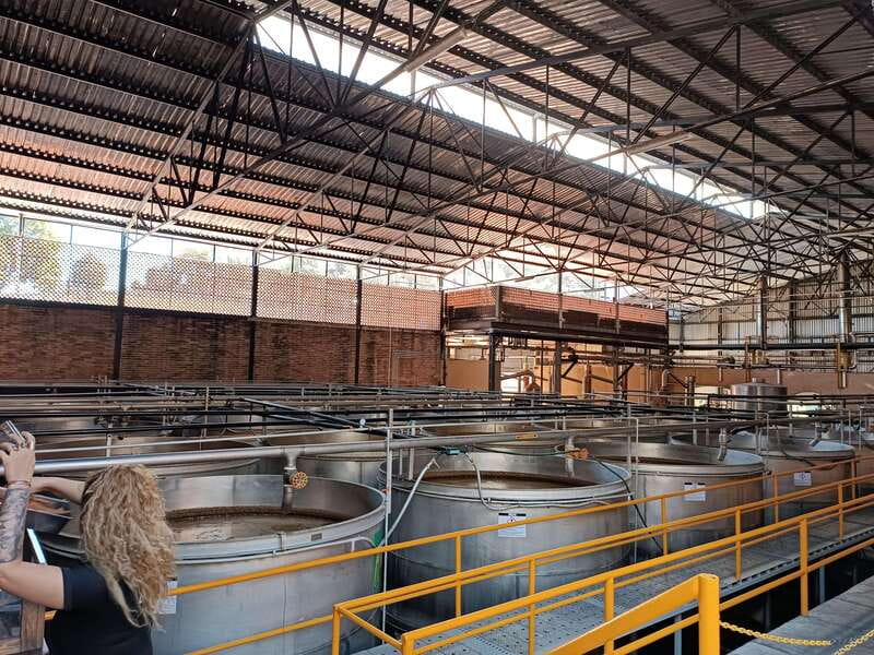 Five-star factory: Meet Orendain tequila. - Who will enjoy this Orendain tour most