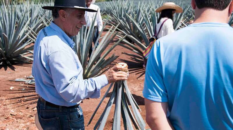 From Guadalajara: Pyramids & Jose Cuervo Tequila Tour - The one-hour ride from Guadalajara