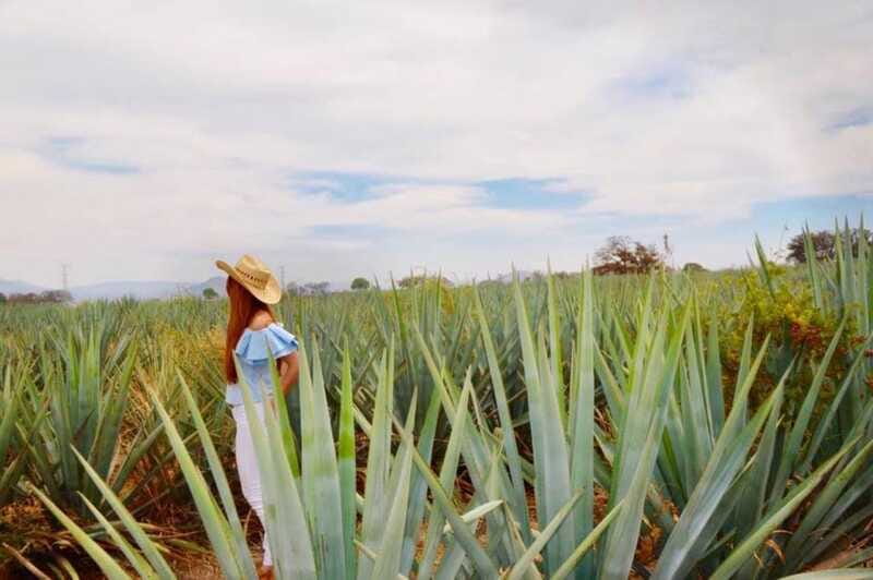 From Guadalajara: Tequila Town and Cantarito Making Tour - Guides, language, and the feel of the day