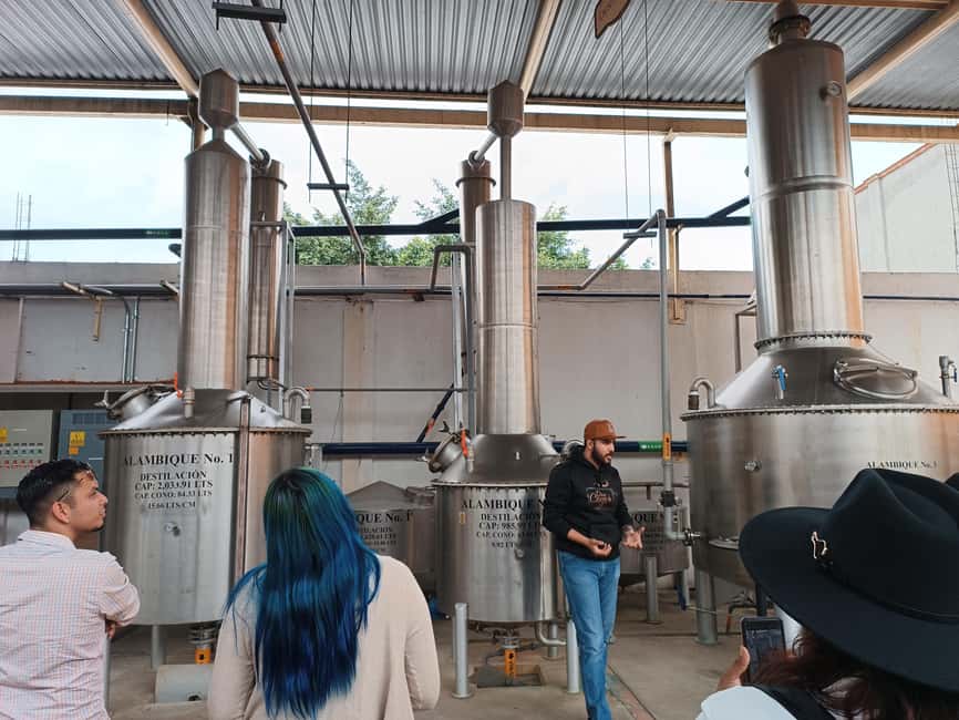 From Guadalajara: Tequila Town and Cantaritos El Guero - What to bring and how to pace the day