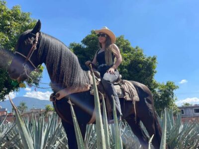 Tequila Town and Cantaritos El Guero