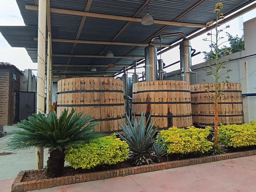 From Guadalajara: Tequila Town and Cantaritos El Guero - Cantaritos Amatitán Che-Che: the liveliest stop