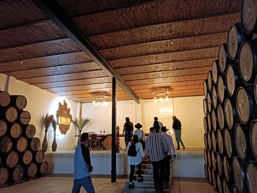 From Guadalajara: Tequila Town and Cantaritos El Guero - Guides, languages, and the group experience