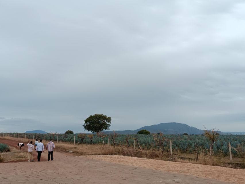 From Guadalajara: Tequila Town and Cantaritos El Guero - Is $42 a fair price?