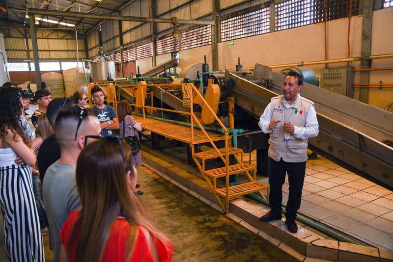 From Guadalajara: Tequila Trail Tour with Tasting - Meeting the black van near Minerva