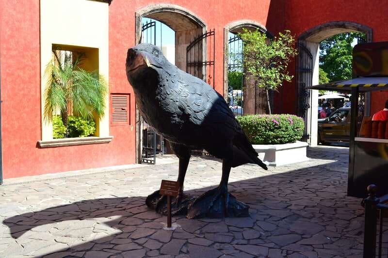 From Guadalajara: Town of Tequila & Jose Cuervo Factory Tour - Key points at a glance
