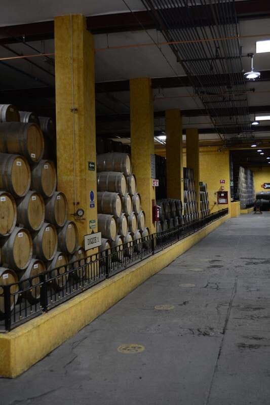 From Guadalajara: Town of Tequila & Jose Cuervo Factory Tour - Who will enjoy this day most