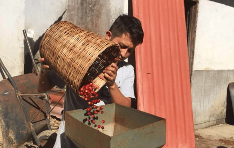 From Huatulco: Coffee and Mezcal Tour - Key points to know before booking