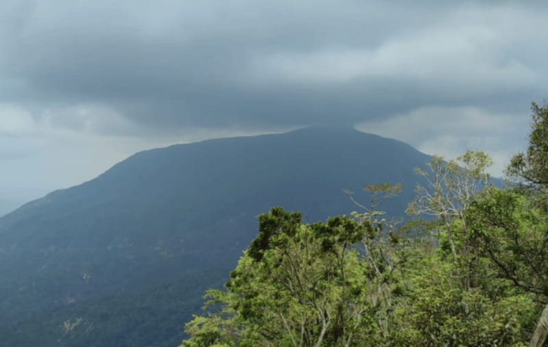From Huatulco: Coffee and Mezcal Tour - Walking through a family coffee farm