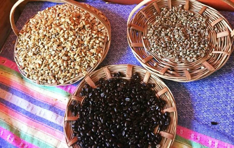 From Huatulco: Coffee and Mezcal Tour - How the guides shape the day