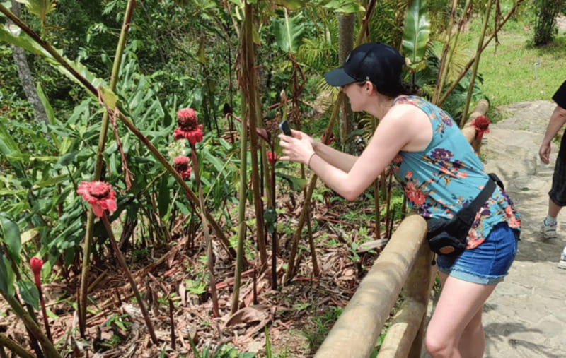 From Huatulco: Coffee and Mezcal Tour - Pluma Hidalgo, a small town with a strong coffee identity