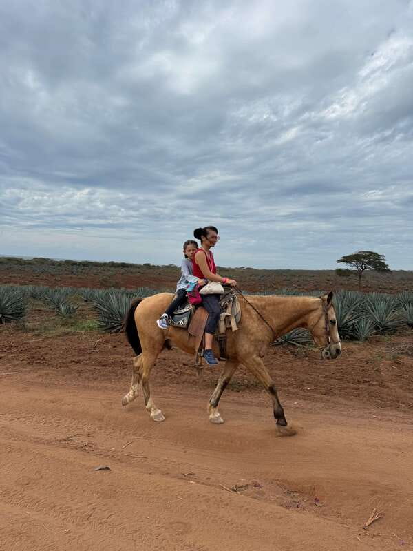 From Mazatlan: ATV & Horse Back riding with Tequila Tasting - Should You Book It?