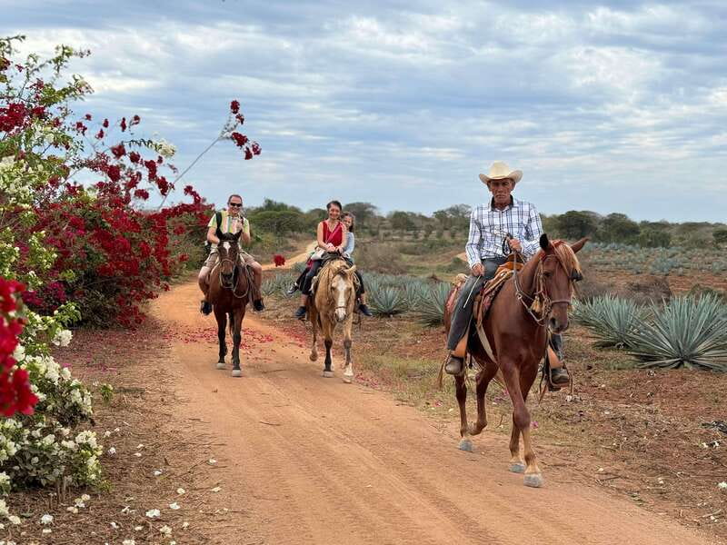 From Mazatlan: ATV & Horse Back riding with Tequila Tasting - ATV Riding Beside the Beach and Agave Fields