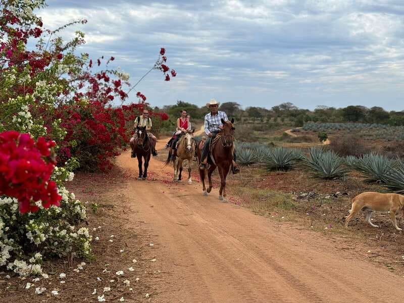 From Mazatlan: ATV & Horse Back riding with Tequila Tasting - Mezcal, Agave, and the Family Ranch