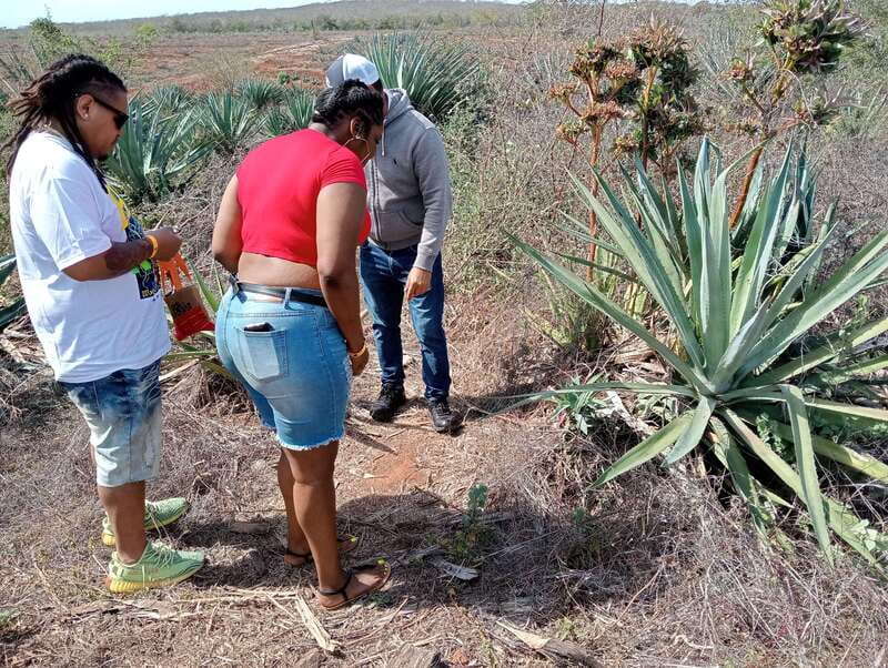 From Mazatlan: ATV & Horse Back riding with Tequila Tasting - What the Four and a Half Hours Really Include