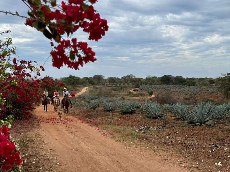 From Mazatlan: ATV & Horse Back riding with Tequila Tasting - Who Will Enjoy This Outing