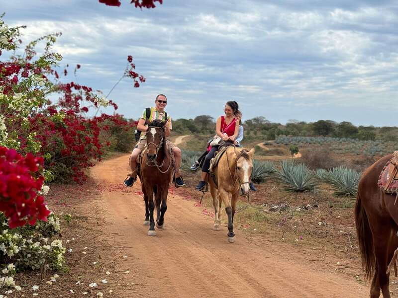 From Mazatlan: ATV & Horse Back riding with Tequila Tasting - Horseback Riding, With One Important Question