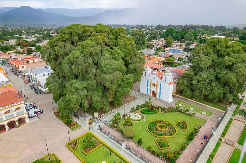From Oaxaca: City, Mitla, and Mezcal Factory Tour - Why this Oaxaca day trip works