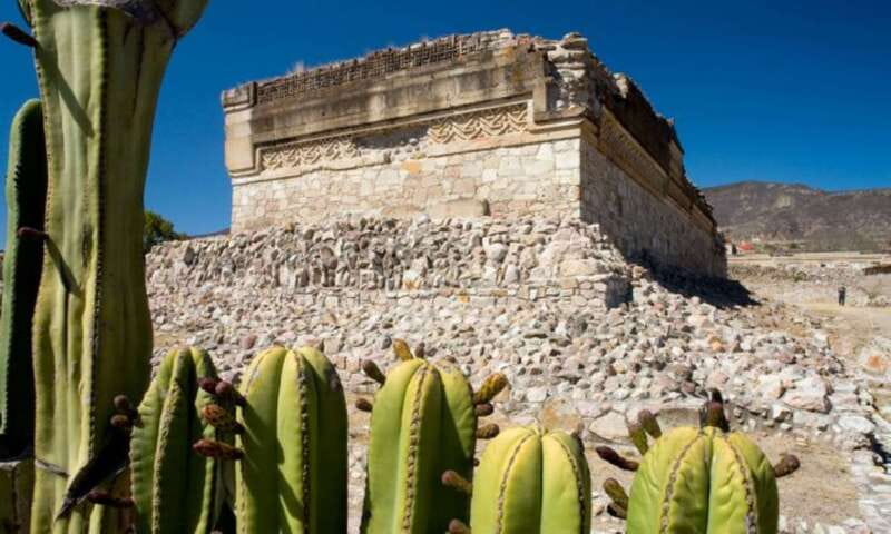 From Oaxaca: City, Mitla, and Mezcal Factory Tour - Transport, timing, and group size