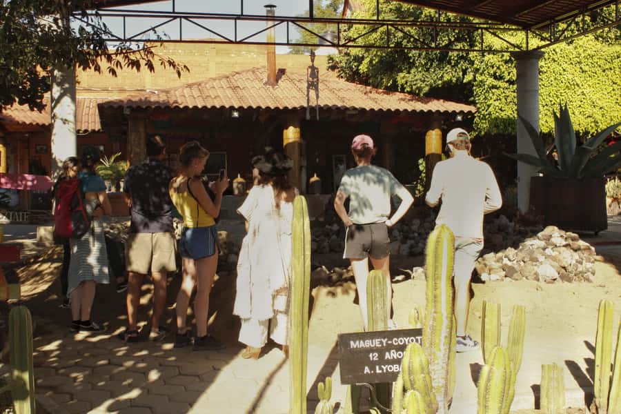 From Oaxaca de Juarez: Hierve el Agua and Mezcal Distillery - The park guide question you should understand