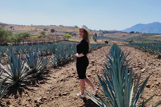 Full Day in Tequila with Tasting and party in Cantaritos - Who should book this day?
