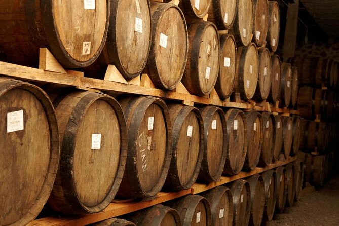Full-Day Tequila Tour from Guadalajara - From Guadalajara to the agave fields