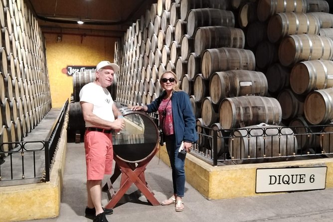 Full-Day Tequila Tour from Guadalajara - Tequila town, lunch, and time to browse