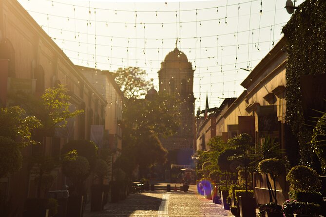 Full-Day Tequila Tour from Guadalajara - Why the guide can make or break the day
