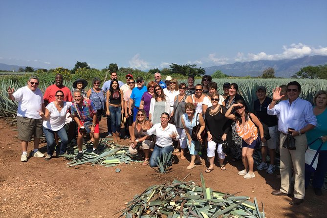 Full-Day Tequila Tour from Guadalajara - The return to Guadalajara