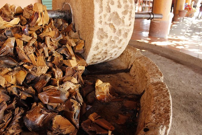 full day tour : Boil the water, Teotitlan, Mezcal, tule and Mitla - Mezcal tasting at El Rey de Matatlán