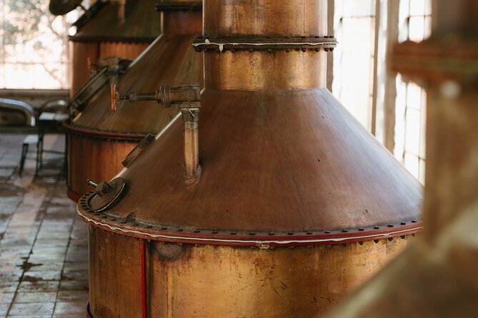 Full-Day Tour in Tequila factory and Cantaritos el Gúero - A full day that follows tequila from field to glass