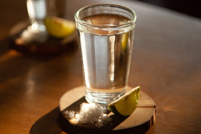 Full-Day Tour in Tequila factory and Cantaritos el Gúero - Agave fields, a giant swing, and the first views
