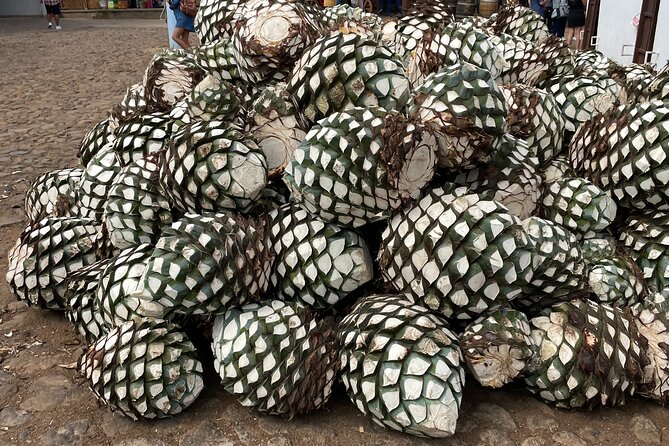 Full-Day Tour in Tequila factory and Cantaritos el Gúero - Ending at Cantaritos el Güero