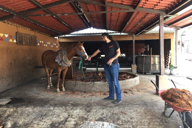 Gastronomy Experience, Culture Mezcal,Tasting & Textiles. Private Tour. - What $699 per person actually buys