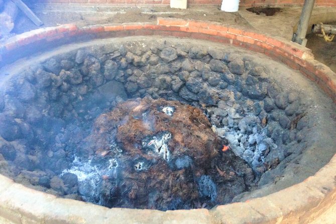 Gastronomy Experience, Culture Mezcal,Tasting & Textiles. Private Tour. - Timing, comfort, and small practical details