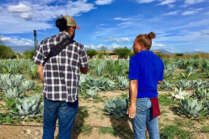 Gastronomy Experience, Culture Mezcal,Tasting & Textiles. Private Tour. - Who should book this Oaxaca experience?