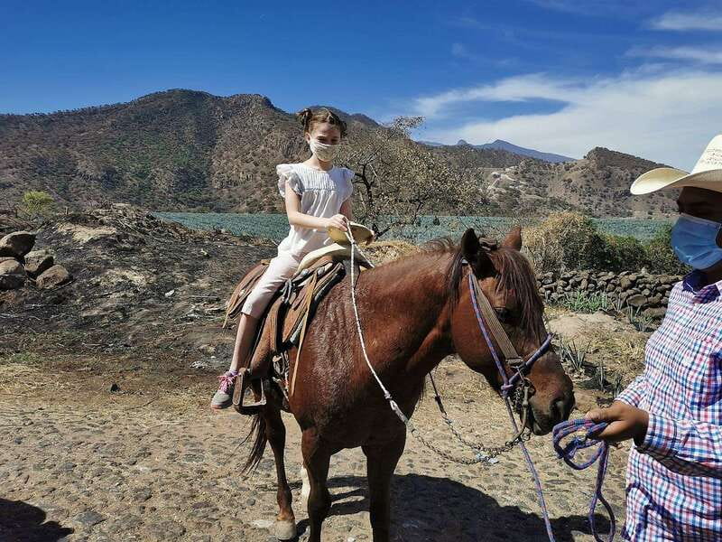 Guadalajara: Horse Riding on the Tequila Route with Tastings - Key points to know before booking