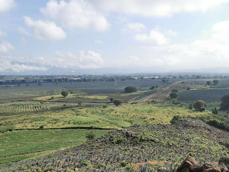 Guadalajara: Horse Riding on the Tequila Route with Tastings - Horseback riding through Amatitán’s agave country