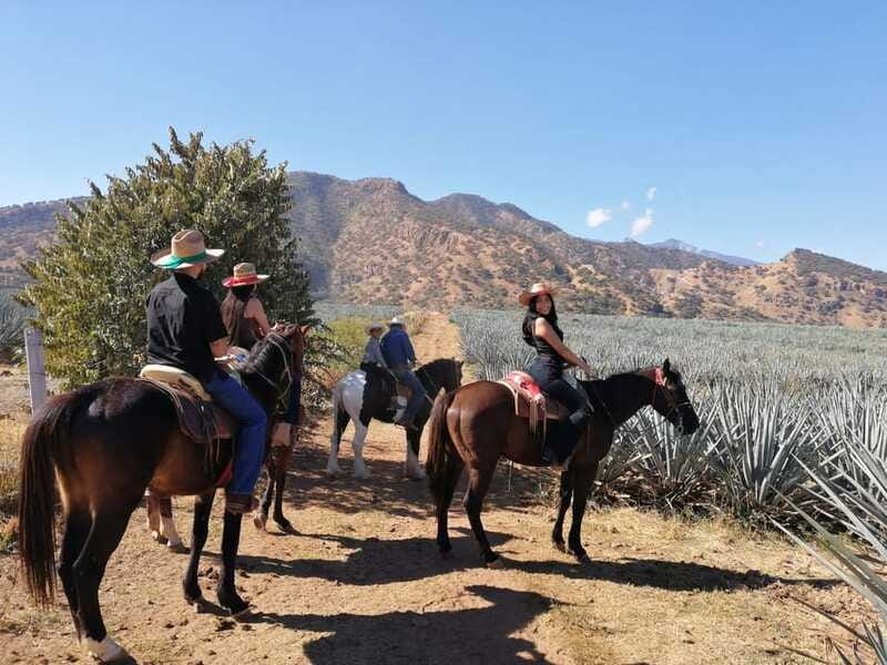 Guadalajara: Horse Riding on the Tequila Route with Tastings - A family-owned distillery and handmade spirits