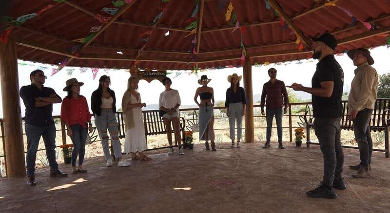 Guadalajara: Premium Tequila Tour with Tastings and Pairings - Key points to know before you book