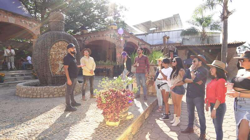 Guadalajara: Premium Tequila Tour with Tastings and Pairings - From Guadalajara to the blue agave fields